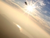 img_3138-crop-large